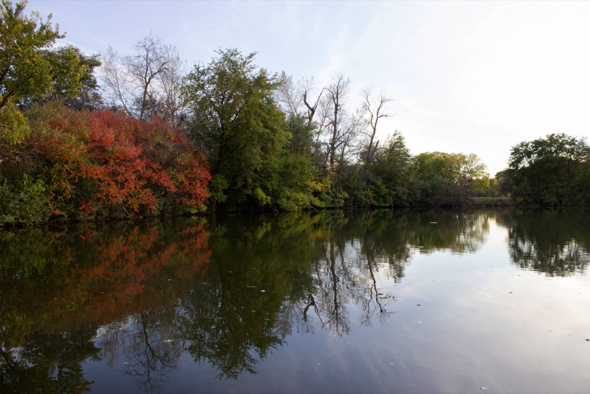 Marquette Park